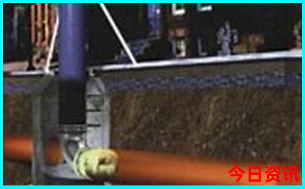 夏季在西湖游玩能欣赏到哪种风光